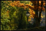 "Herbstlampe" 01